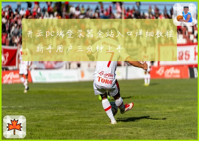 开云pc端登录器全站入口详细教程，新手用户三分钟上手