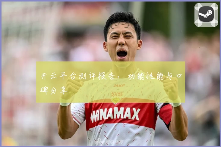 开云平台测评报告，功能性能与口碑分享
