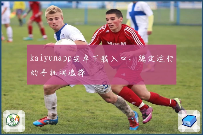 kaiyunapp安卓下载入口,稳定运行的手机端选择