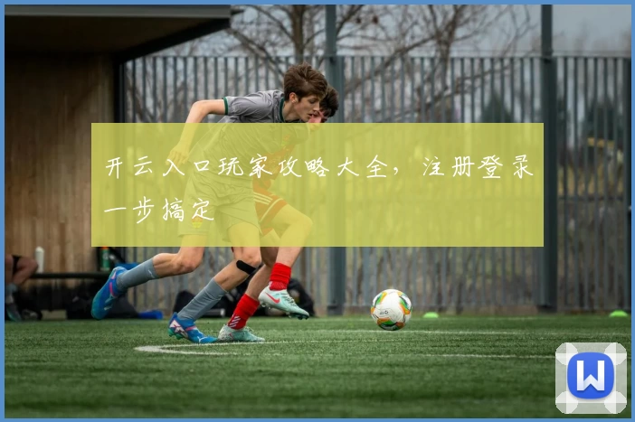 开云入口玩家攻略大全，注册登录一步搞定