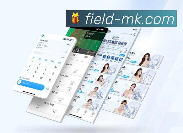 MK体育平台介绍
